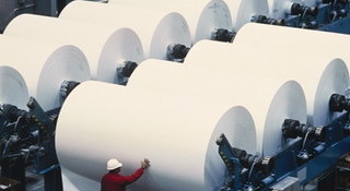 paper industry
